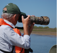 Birdwatching Tour Ria Formosa