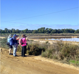 The Great Bustard Adventure