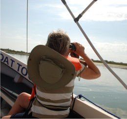 Birdwatching Tour Tavira and Ria Formosa