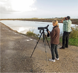 Birdwatcher Paradise Ria Formosa